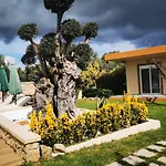 Villa Mata - 600M² With Private Pool And Jacuzzi