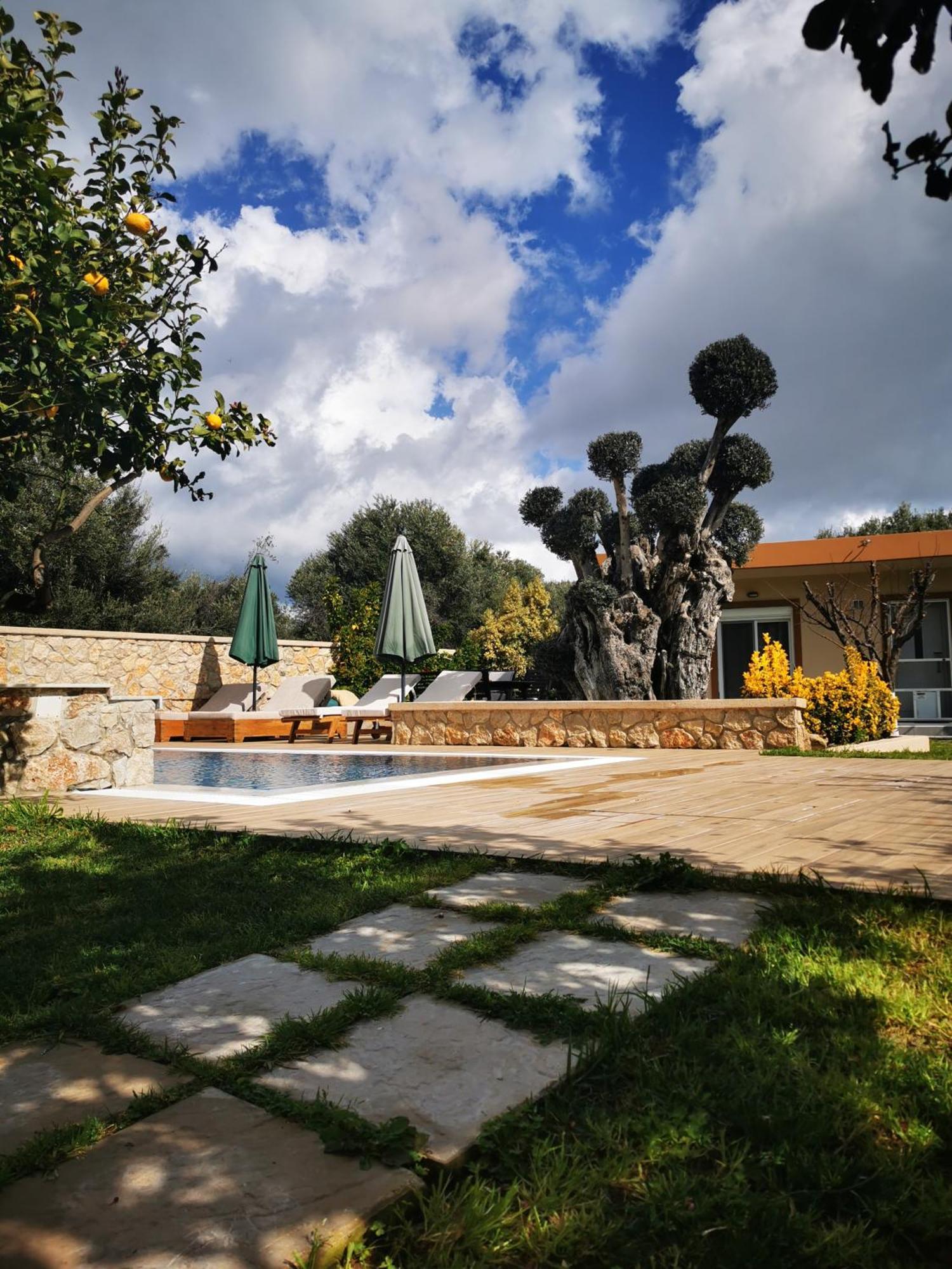 Mata - 600m² With Private Pool And Jacuzzi * Kalithies
